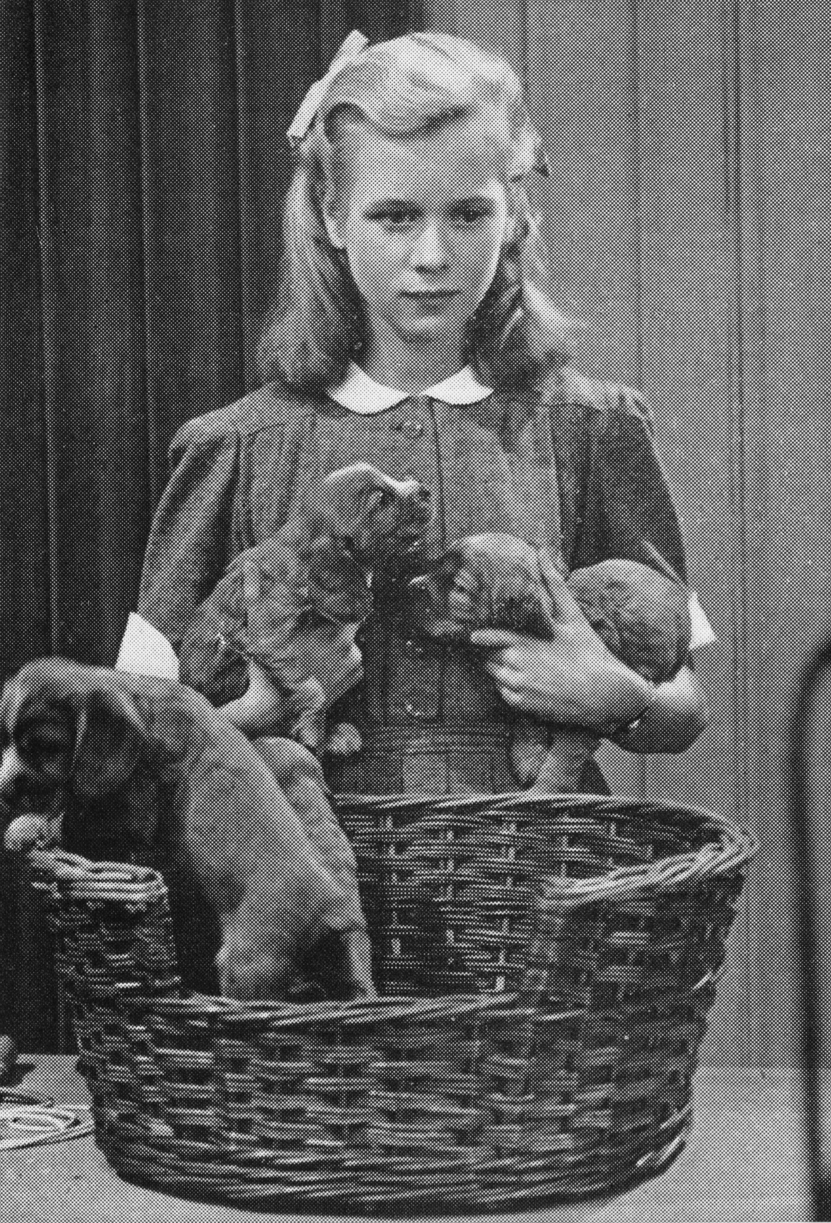 A girl holds two puppies; two more are in a basket in front of her